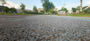 公园里碎石路面风景
