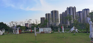 城郊绿地旁的高楼景观