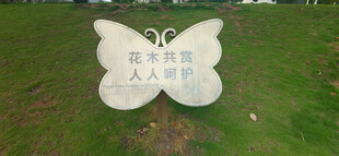 草地上的蝴蝶形花草牌