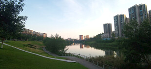 城市河畔绿意盎然景观