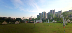 城市绿地旁的高楼景观