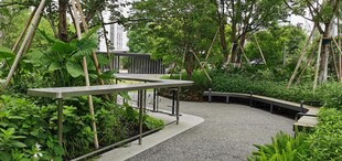 林间幽静步道