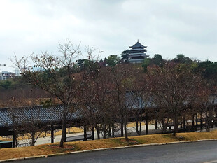 植物公园