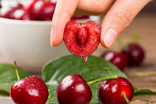 手剥新鲜樱桃特写