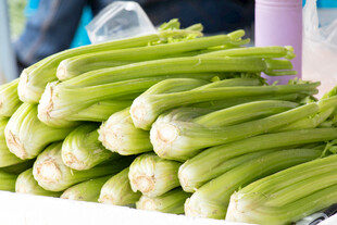 新鲜芹菜
