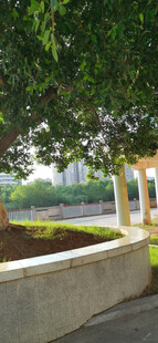 绿荫下的户外休闲场景