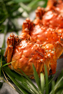 美味大闸蟹配翠绿叶片