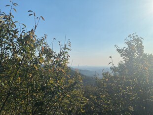 山林阳光风景
