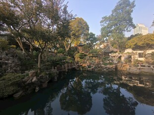 静谧园林水景
