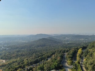 俯瞰葱郁山林美景