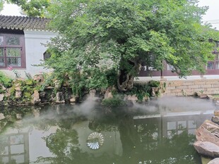 中式庭院池塘绿树景致