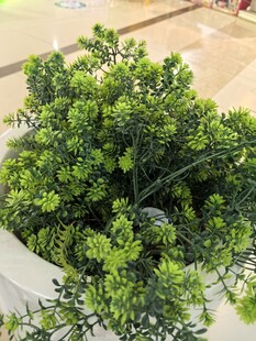 翠绿树脂盆栽植物特写