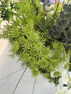 清新绿植花卉组合