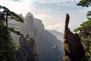 奇峰景观