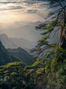 山间晨曦中的葱郁景致