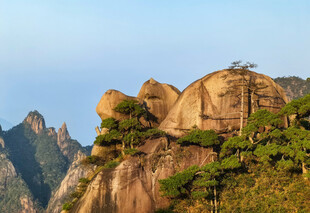 壮丽山景与崖边松树