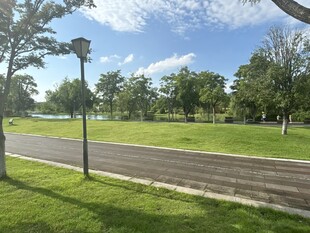 公园中宁静的道路与绿地