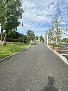 宽阔柏油道路与绿植景观