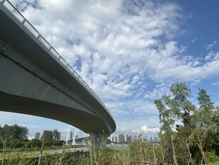 高架桥穿越绿意蓝天