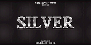 银色主题字体设计展示