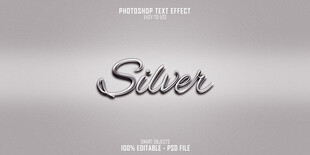 银色主题字体设计展示