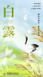 弥散意境风白露节气全屏海报