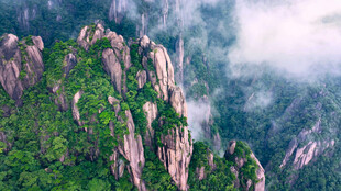 峻岭葱茏的壮丽山景