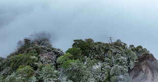 云雾缭绕的葱郁山峰