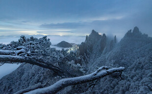 雪覆山林美景