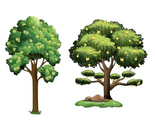 果树插画