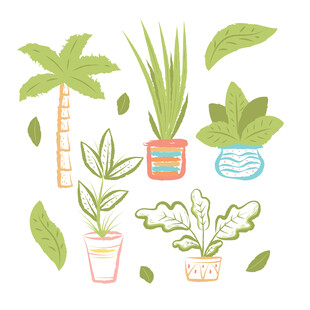 手绘盆栽植物插画