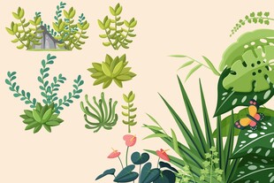 清新绿植插画