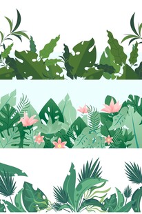 热带植物景观插画