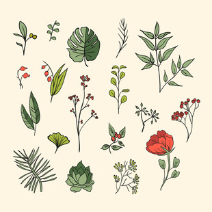 手绘植物花卉插画素材