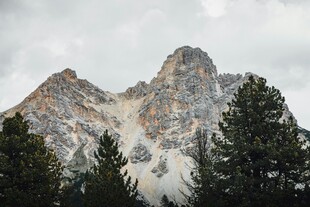 巍峨山峰与茂密林木景观
