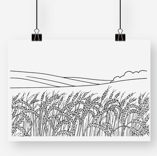 田野麦穗线条画