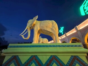 夜间大象雕塑
