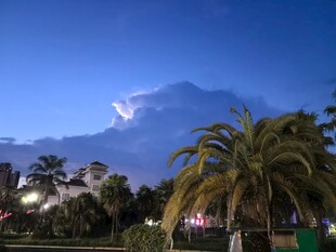 夜幕下的棕榈树与远方云彩