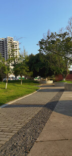黄昏下城市公园中的砖石步道景观