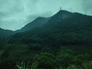 云雾缭绕的青山美景