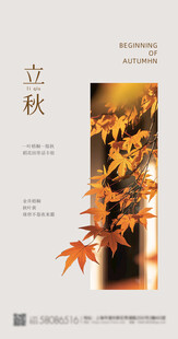 立秋时节枫叶美