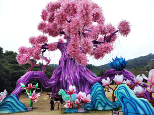 梦幻粉色樱花树景观