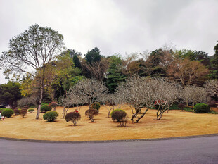 公园景点