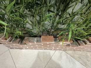 砖砌花槽中的仿真绿植景观