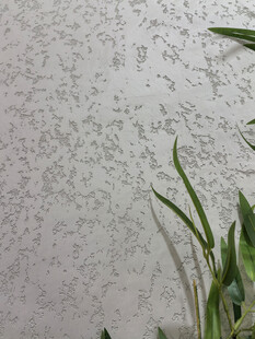 墙面纹理与绿植装饰简约景致