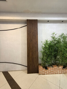 室内绿植装饰角落