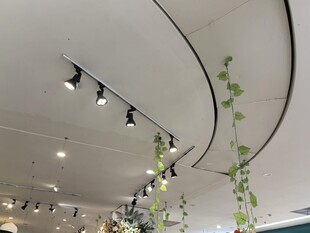 弧形天花板下的绿植灯光