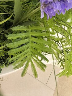 仿真紫色花朵旁的翠绿蕨类植物