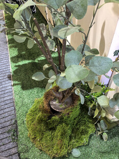 仿真苔藓覆盖的精致盆栽植物