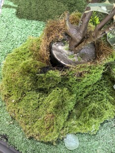 仿真苔藓景观